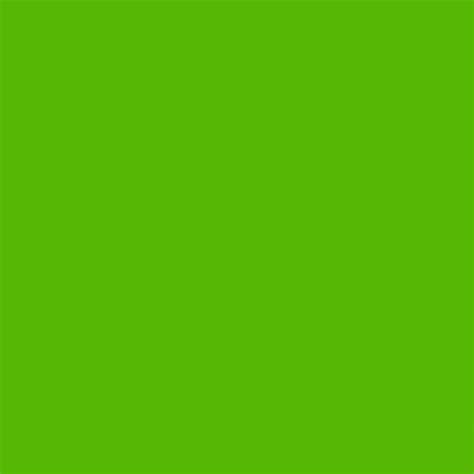 Bright Green Paint Ubicaciondepersonascdmxgobmx