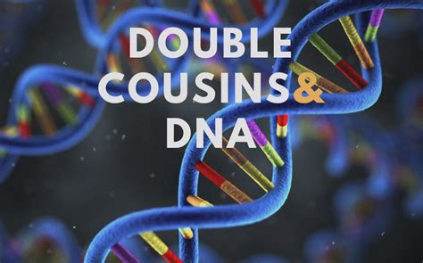 What Is A Double Cousin Marriage The Only Guide Must Read
