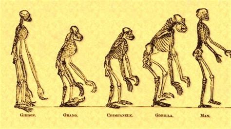 Cultural Evolution Theory Darwin Fail On Arrival Ceh