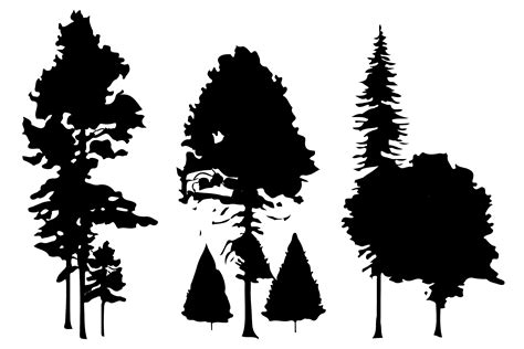Trees And Forest Silhouettes Set Vector Graphic By Breakingdots