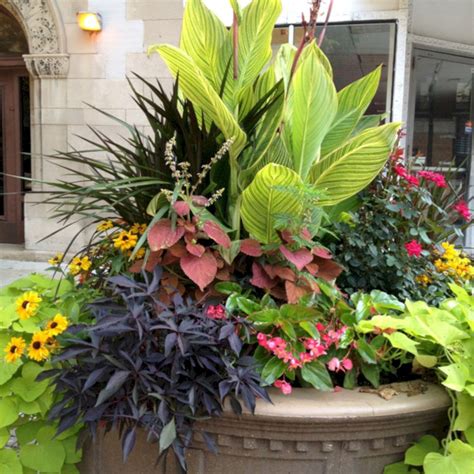 Small flower garden ideas in vertical flower gardens mean different levels, with shelving. Matchness.com - Match Your Sweet Home | Full sun container ...