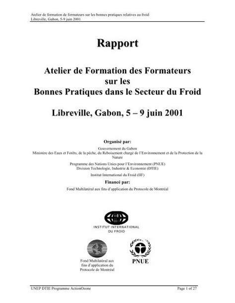 Rapport Atelier De Formation Des Formateurs Sur Les Bonnes Dtie
