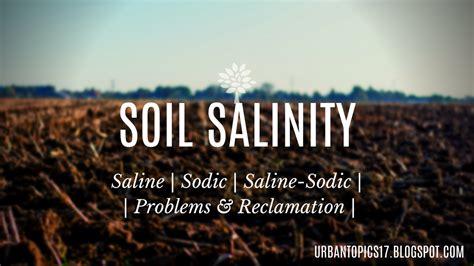 Soil Salinity Saline Sodic Problems And Reclamation