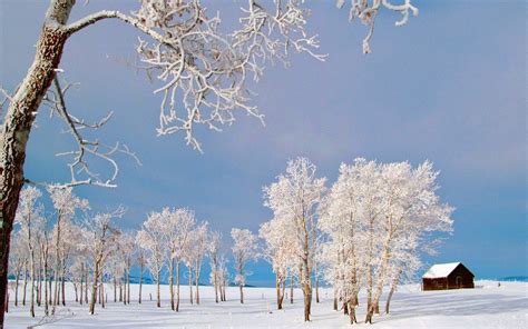 Wallpapers Beautiful Winter Scenery Wallpapers