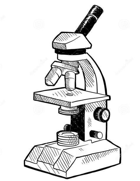 X Microscopio Optico Binocular Dibujo Clipart My Xxx Hot Girl