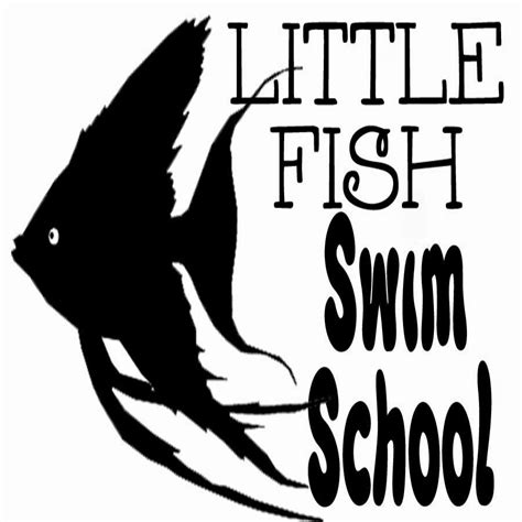 Little Fish Swim School Classes Levels Available