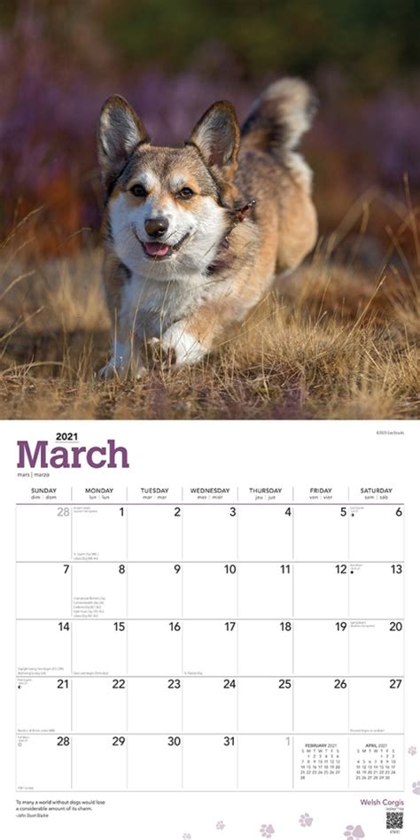 Welsh Corgis 2021 Wall Calendar By Browntrout 9781975422356 Booktopia