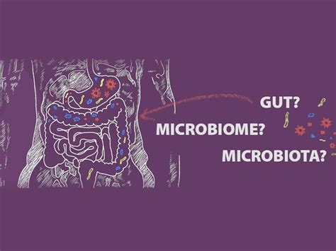 Whats The Difference Between The Gut Microbiome And Microbiota