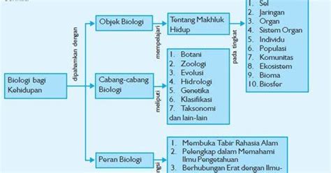 Peta Konsep Ipa Sistem Organisasi Kehidupan Makhluk Hidup Belajar Ipa