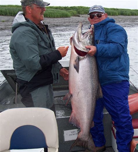 Alaska King Salmon Alaska Halibut Fishing Charter