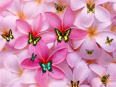 [48+] Smart Wallpapers for Girly | WallpaperSafari.com