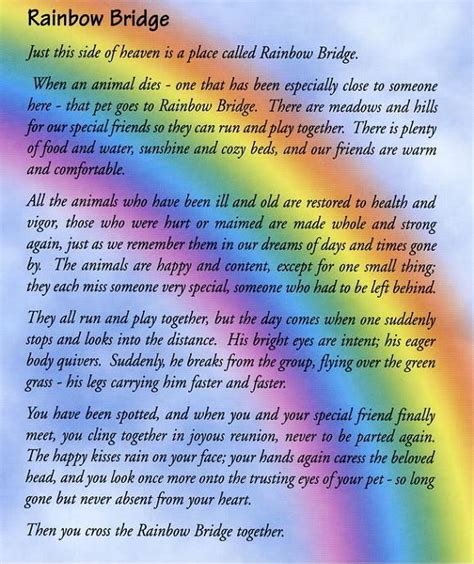 See more ideas about rainbow bridge, rainbow bridge poem, pet loss. Give a dog a bone....: I never had a name, and I never will.