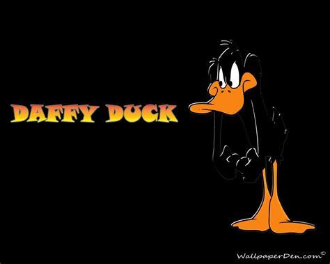 Daffy Duck Hd Wallpapers Wallpaper Cave