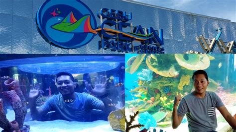 Ocean Park Cebu Part 1 Youtube