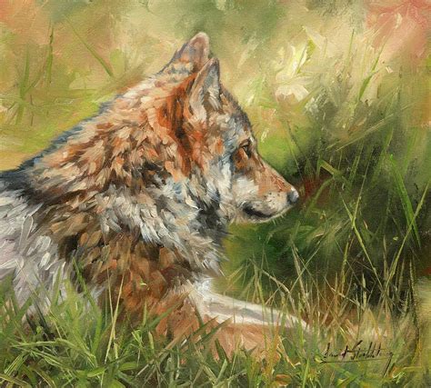 Grey Wolf Painting By David Stribbling Fine Art America