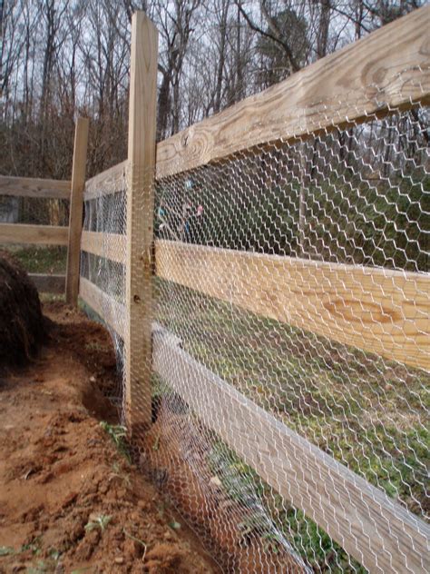 Since we knew that mowing would be an issue, we decided to line the ground with landscape fabric. Rabbit Proof Fence | Chicken wire fence, Garden fencing ...