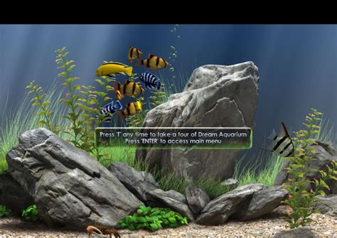 Dream Aquarium Screensaver For Mac Download