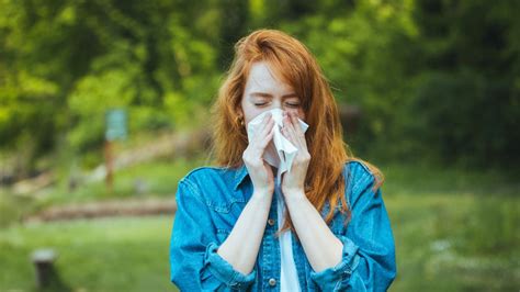 4 Natural Ways To Help Manage Hay Fever Symptoms Healthista
