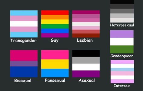Colours Of The Gay Pride Flag Meaning Vlerofone