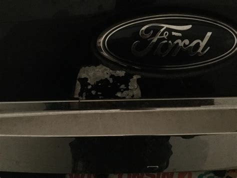 2008 Ford Expedition Bubbling Paint: 8 Complaints
