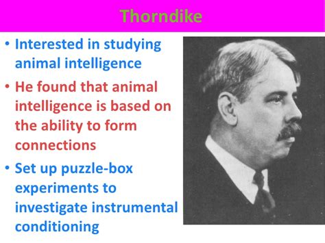Trial & error learning Thorndike - VCE U4 Psych