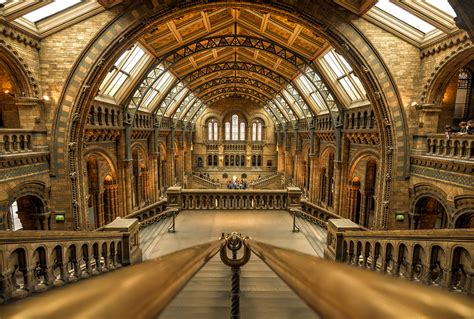 Natural History Museum, London | Shutterbug