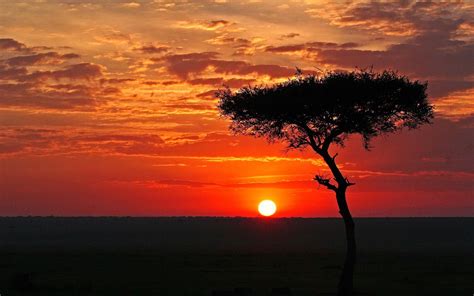 Africa African Sunset Sunset Background Sunset Wallpaper