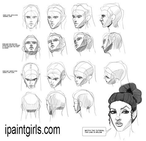 How To Art Face Angles Drawing Tutorial Face Face Proportions