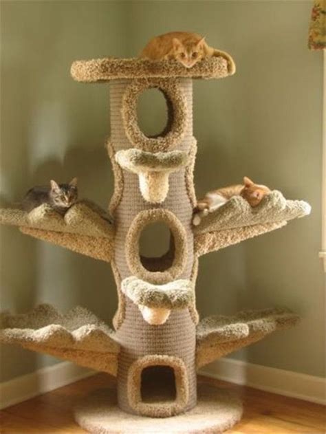 Beautiful Cat House With Cat Trees With Images Cat Tree Cat