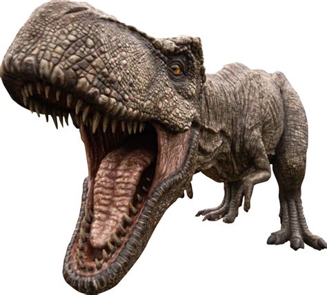 Dinosaur Trex Tyrannosaurus Free Photo On Pixabay