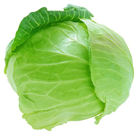 Cabbage Png Clip Art Library