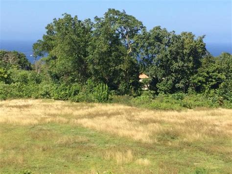 Buying Land In Jamaica 10 Things You Need To Know SavvyJamaica