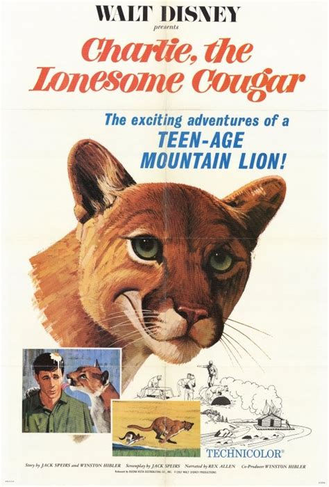 The Disney Films Charlie The Lonesome Cougar 1967