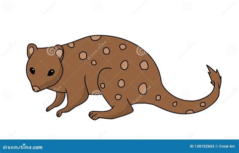 Quoll Vector Illustration Sketch Hand Drawn With Black Lines