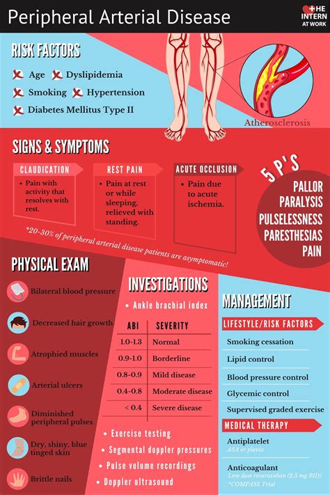 Peripheral Arterial Disease — The Intern At Work