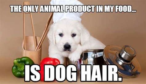 The Only Animal Product In My Food Is Dog Hair Vegan Meme Vegan