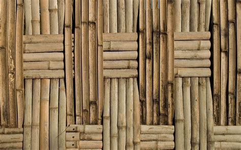 Bamboo | Bamboo wallpaper, Bamboo image, Bamboo decor