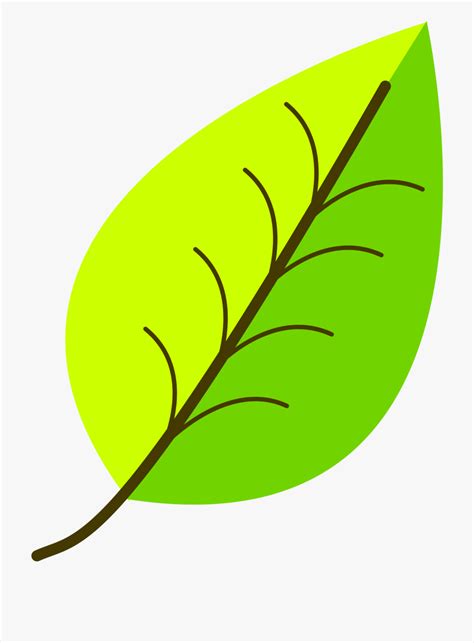 Leaf Clipart Sekabirthday