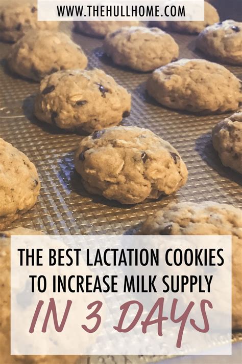 The Best Lactation Cookies Artofit