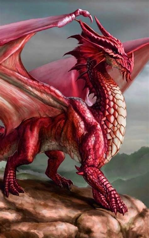 Dragon Wallpaper Best Cool Dragon Wallpapers Apk For Android Download