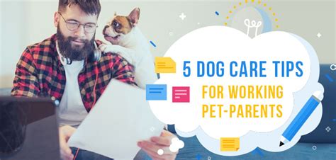 Top 5 Dog Care Tips For Working Pet Parents Vetsupply