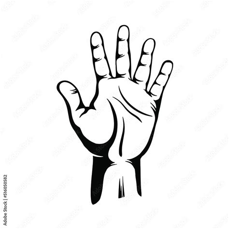 Hand Showing Five Fingers High Five Sign Communication Gestures