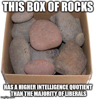 Box Of Rocks Imgflip