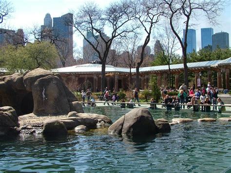 The Beauty Of Central Park Zoo Animals National Park
