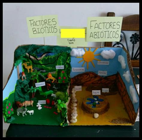 Factores Bioticos Y Abioticos Factores Bioticos Y Abioticos Maquetas