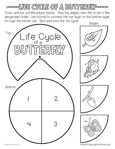 Free Butterfly Life Cycle Printables This Set Includes A Colorful Life