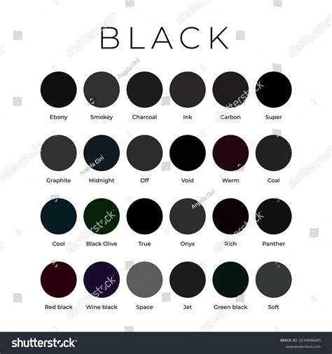 Black Color Shades Swatches Palette Names Stock Vector Royalty Free