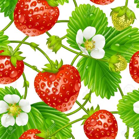 Vector Strawberry Seamless Pattern Isolated On White Background Royalty