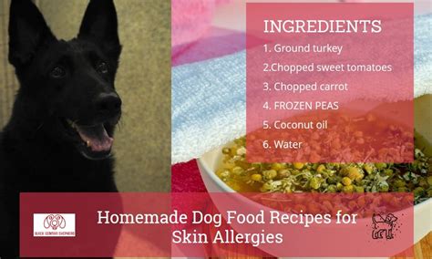 Homemade dog food recipes for skin allergies are very useful when your dog is not feeling good—the most common dietary ingredient which causing allergies in dogs that is protein. Homemade Dog Food Recipes for Skin Allergies - The black ...