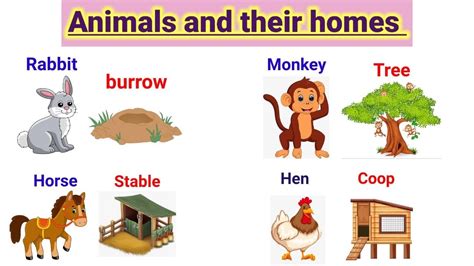 Animals And Their Homes Animals Home Home Of Animals Animal Homes